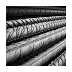 HIE.TORS.006-1-