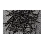 GAL.PPAR.026-2